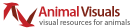Animal Visuals: Visual Resources for Animal Advocates